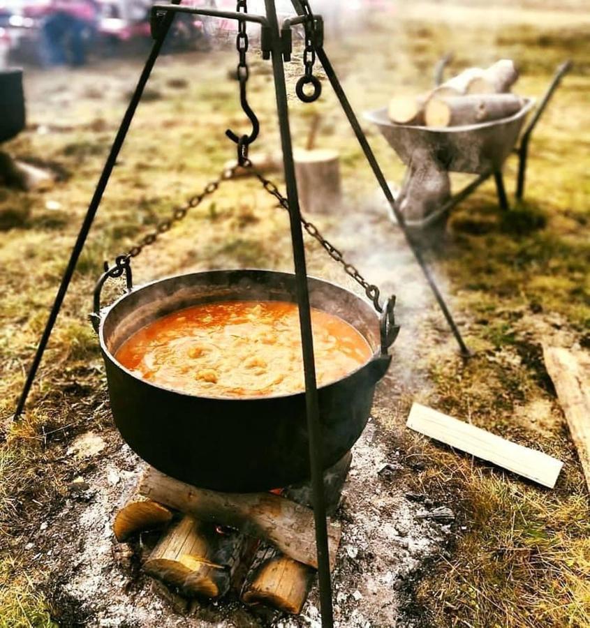 Langa Stana Hotel Árgyasudvarhely Kültér fotó
