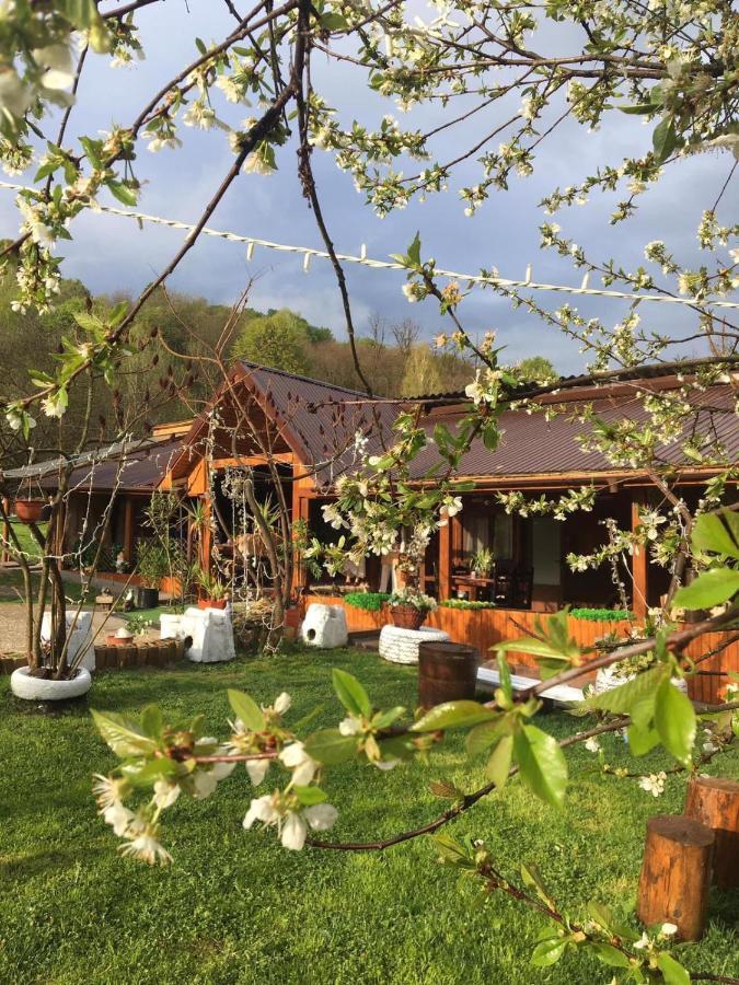 Langa Stana Hotel Árgyasudvarhely Kültér fotó